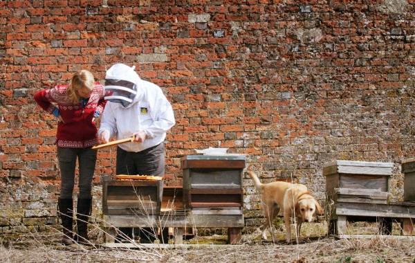 Mike the Beekeeper